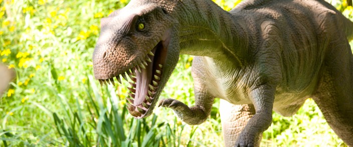 Suspendisse arcu nisl