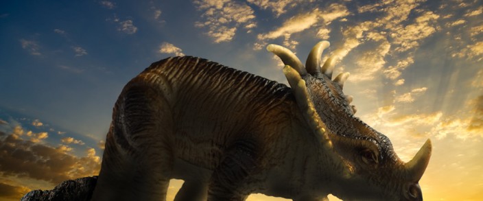 Sed blandit massa vel